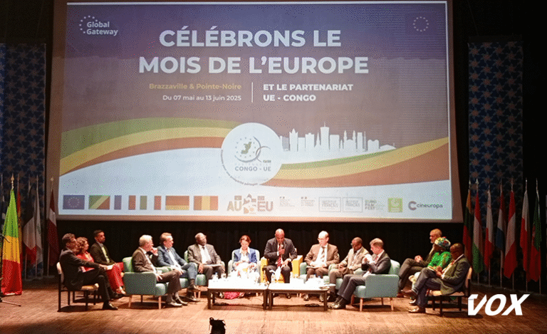 Photo-mois-de-leurope-traitee