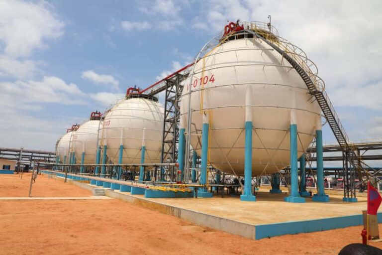 whatsapp_image_2025-11-17_a_21.29